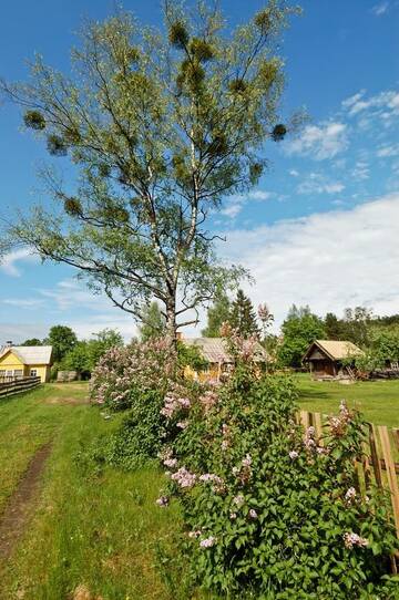 Фото номера Вилла (для 4 взрослых) Загородные дома Country house Ziogeliai г. Žiogeliai 16